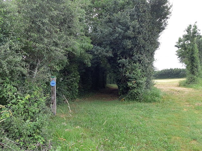 Sur les pas du chasseron