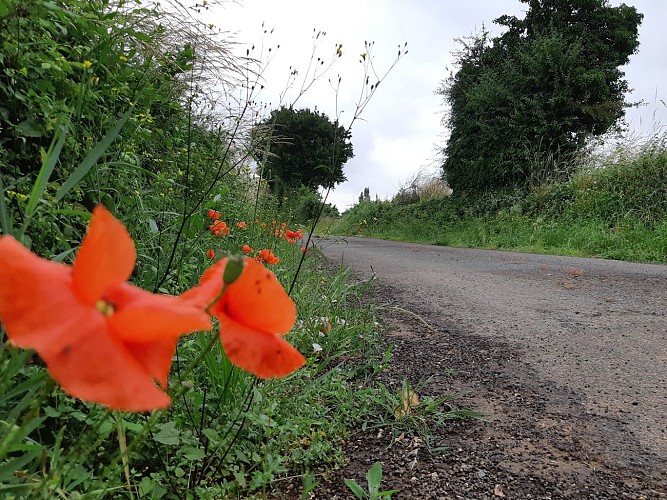 En allant à Montabert