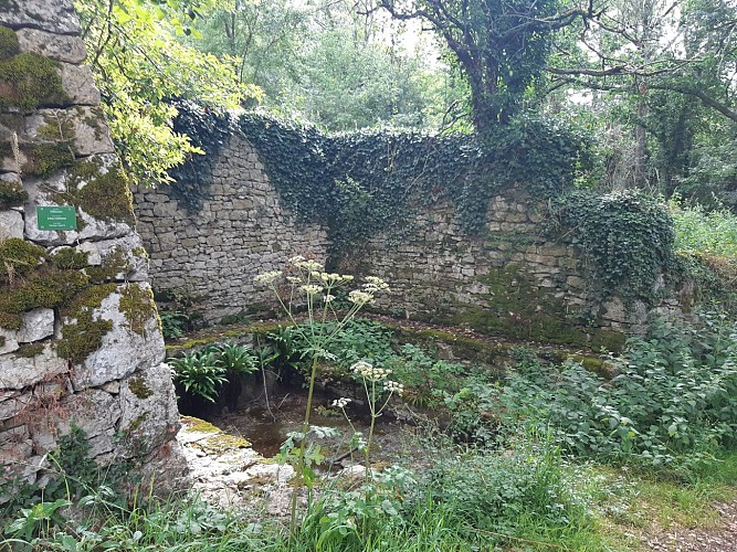 Fontaine lavoir des Chaumes-Vertes
