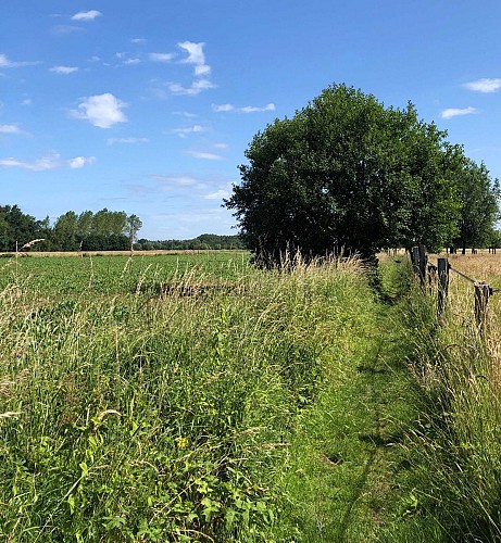 Steentjesbos en Brabant Flamand - Val et Oli