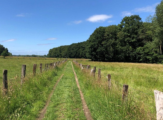 Steentjesbos en Brabant Flamand - Val et Oli