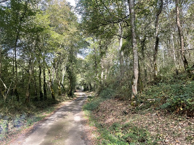 Randonnée Col de Lauach
