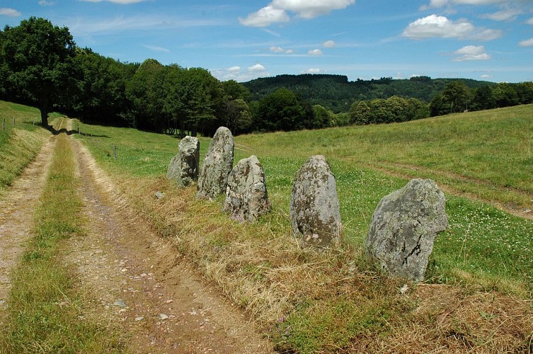 AMUR: Celte M3 Marmagne