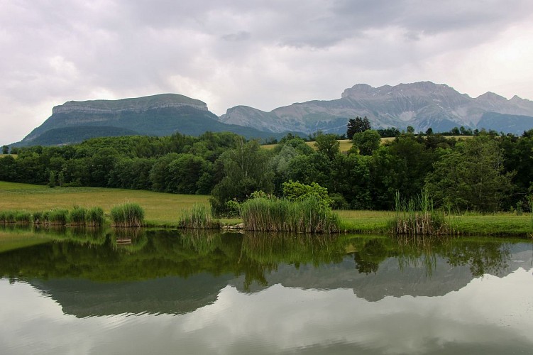 L'Etang du Marais