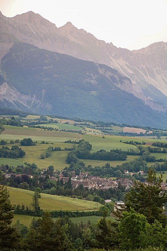 Mens au milieu des champs