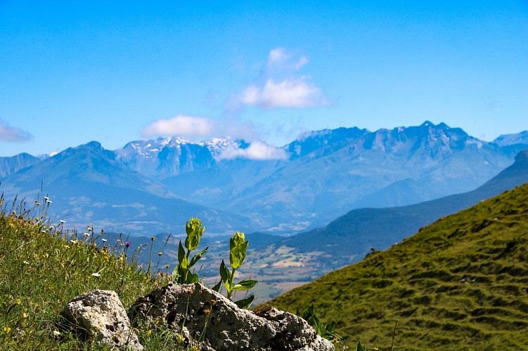 La vue sur le Trièves