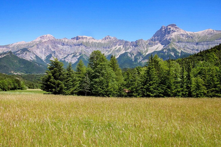 Près de Chateau bas