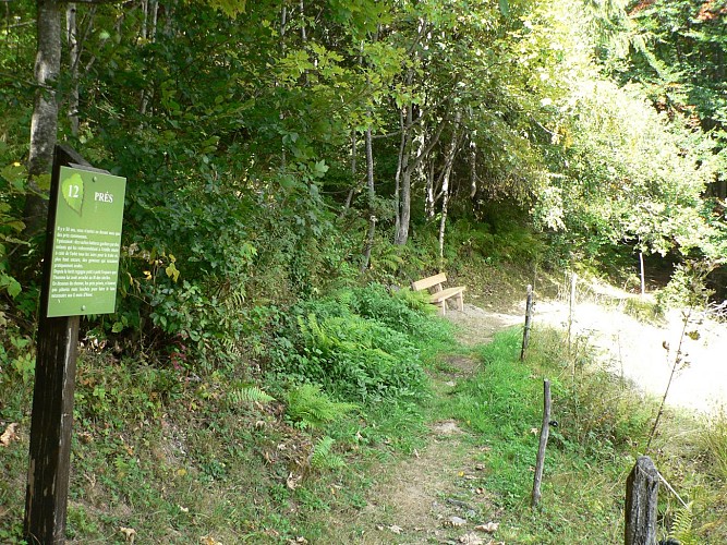 Nature trail and souvenir on foot "Nature et Souvenir"