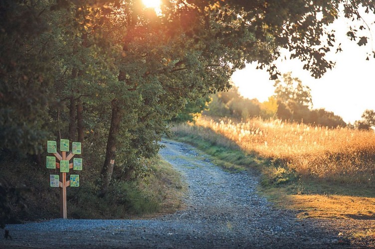 Panneau d'accueil, bergerie du chapitre Montréal d'Aude