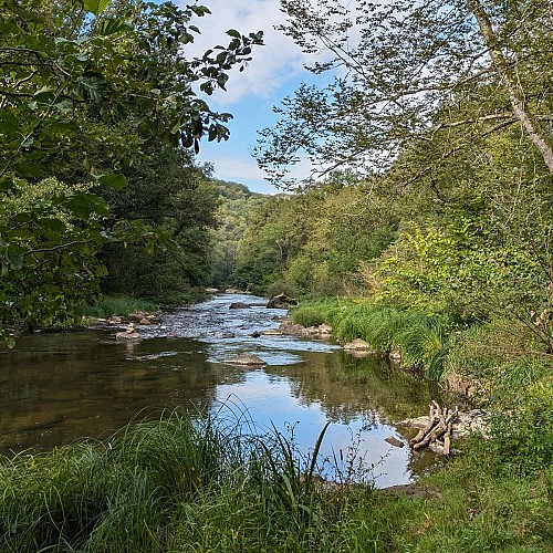 Les berges du Viaur