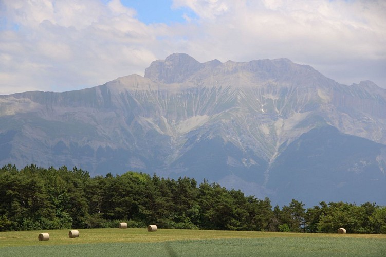 Vue sur le Dévoluy