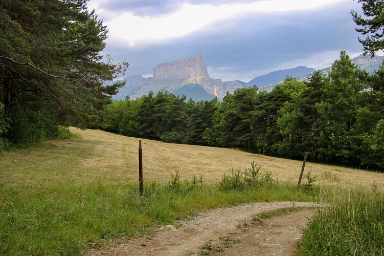Les chemins et les champs