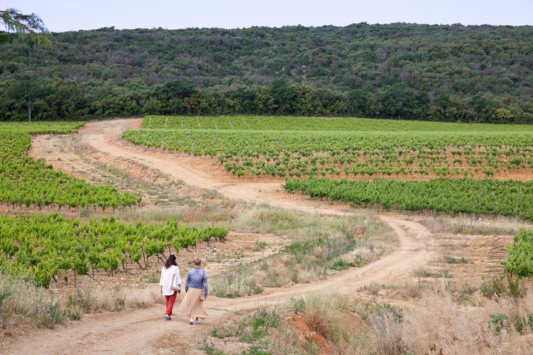 Sentier vigneron - Domaine de Cantarelle, Brue Auriac