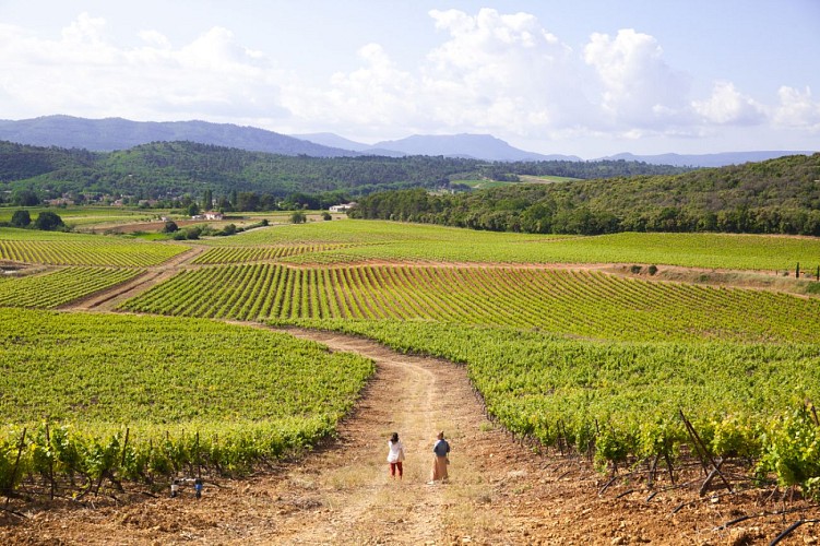 Sentier vigneron - Domaine de Cantarelle, Brue Auriac