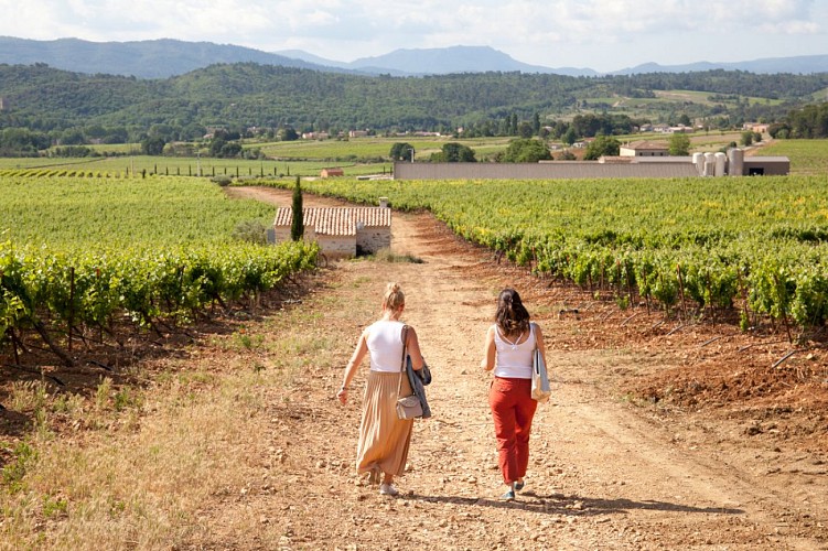 Sentier vigneron - Domaine de Cantarelle, Brue Auriac