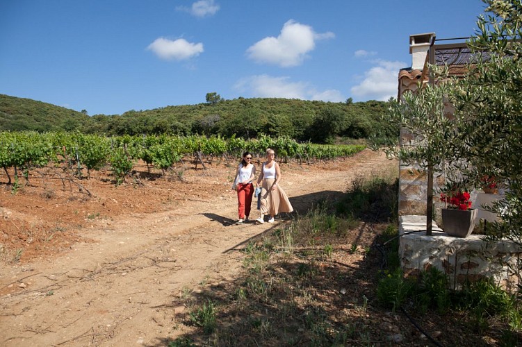 Sentier vigneron - Domaine de Cantarelle, Brue Auriac