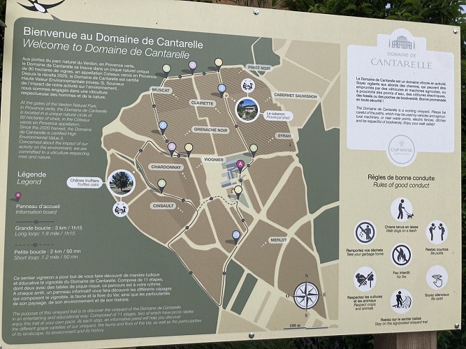 Sentier_vigneron_Cantarelle, Brue Auriac