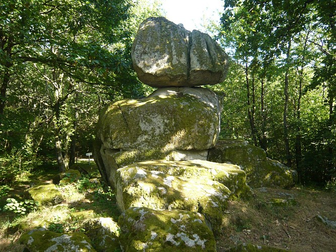 Porofil de Napoléon Dettey