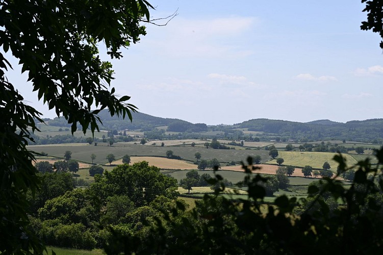 Rando Paysage La Comelle