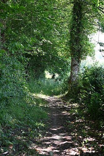 Rando Paysage La Comelle