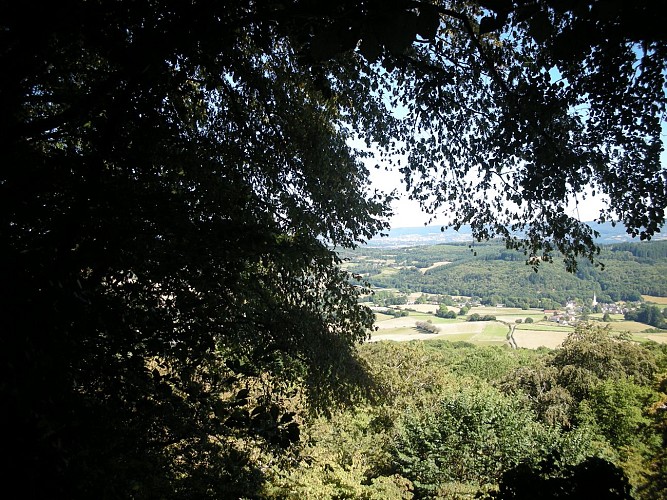 DSCN0202-2