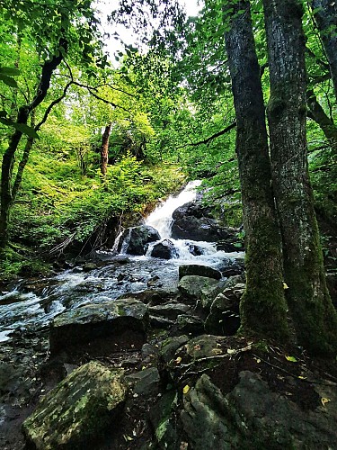 Gorges de la canche - Roussillon-en-morvan