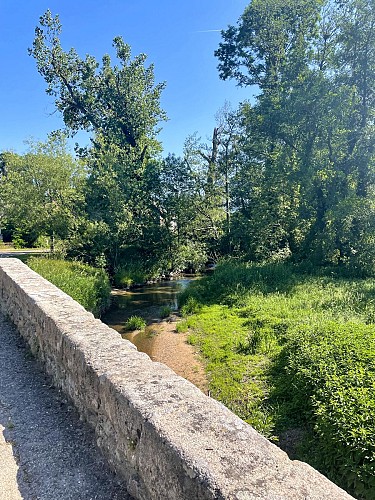 Pont du Mesvrin