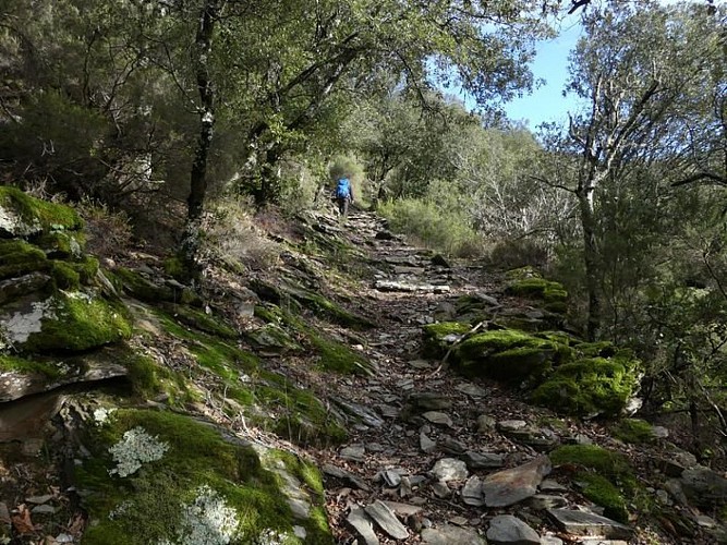 Montée aux ruines de Romes