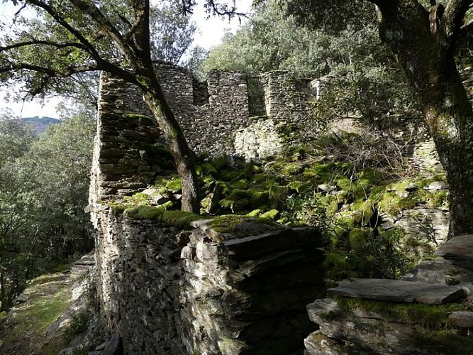 Rome, ancienne magnanerie