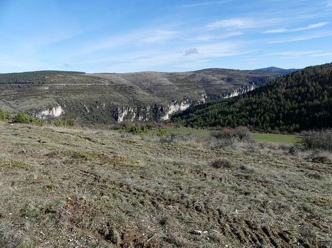Les gorges de la Jonte