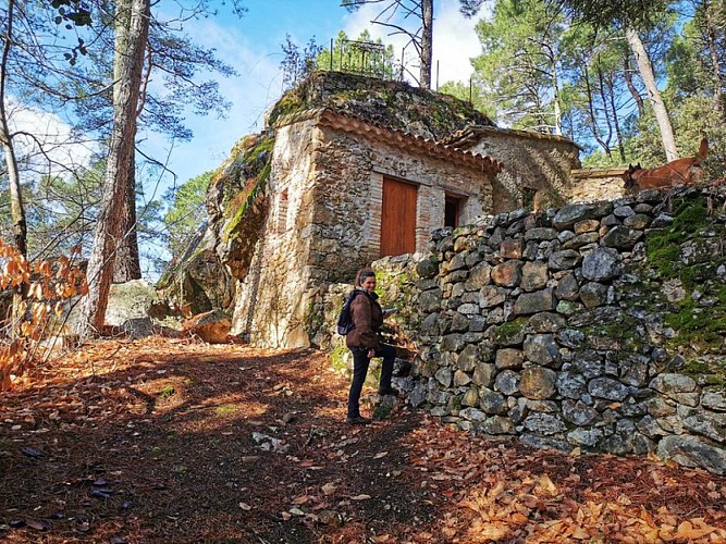 Bosquet du souvenir sur le chemin