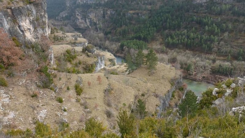 Les terrasses de Sainte-Enimie