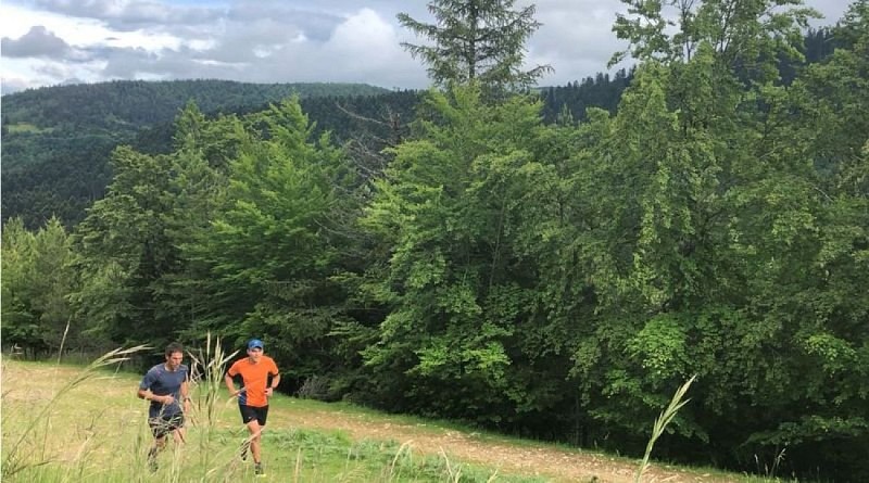 traileurs  forêt