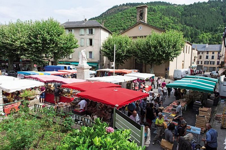 Marché de Florac, août 2015