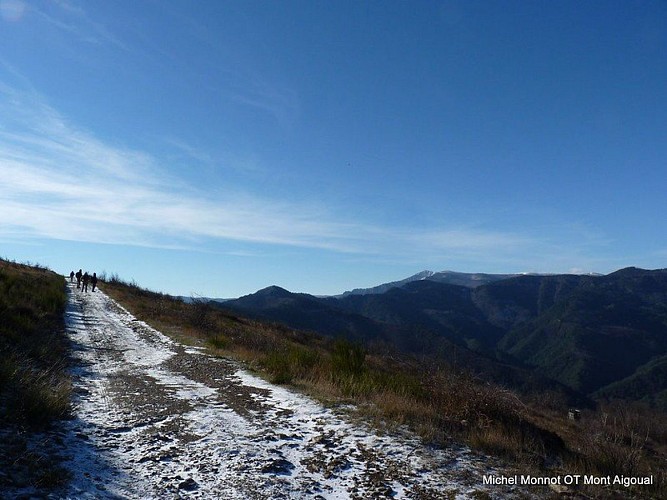Vue sur le Mont Aigoual