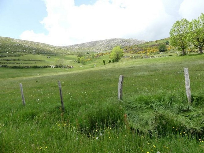 Prairie autour de Villeneuve