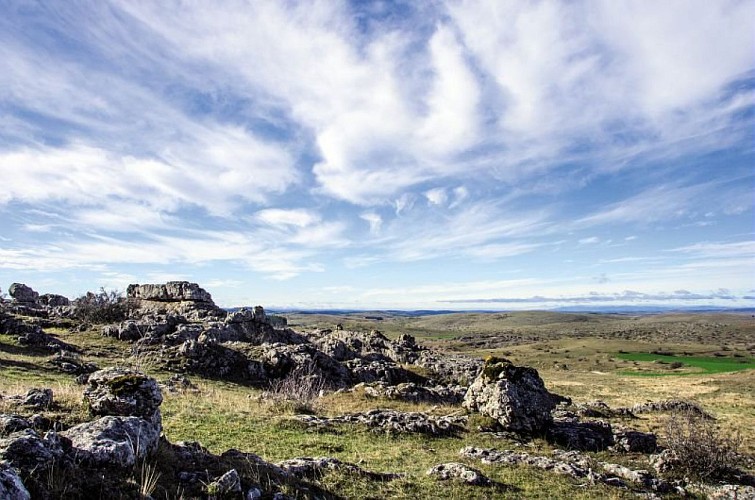 Paysage du Causse Méjean à Galy