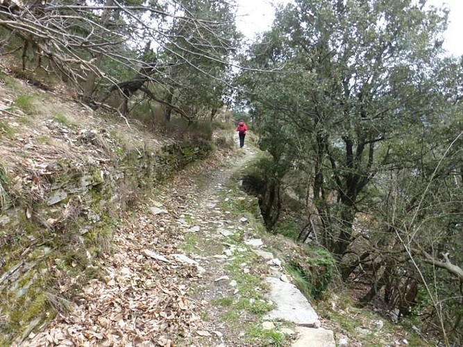 Descente vers La Fare