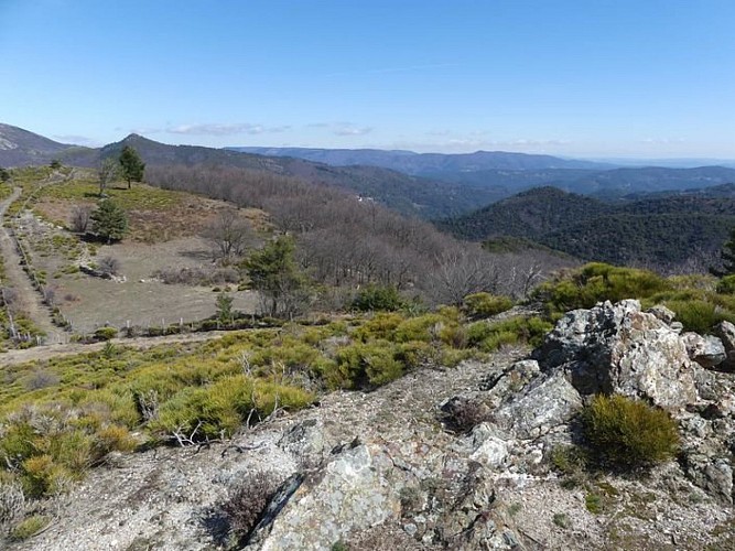 Les Vallées cévenoles