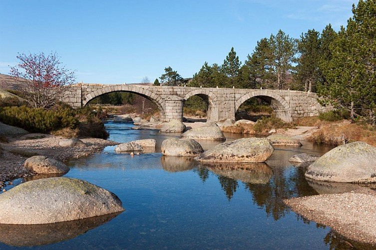 Le pont du Tarn
