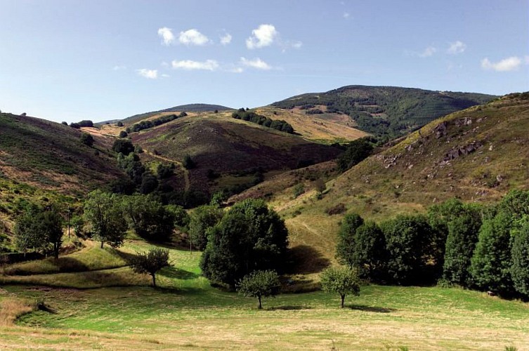 Les paysages de l'Aigoual