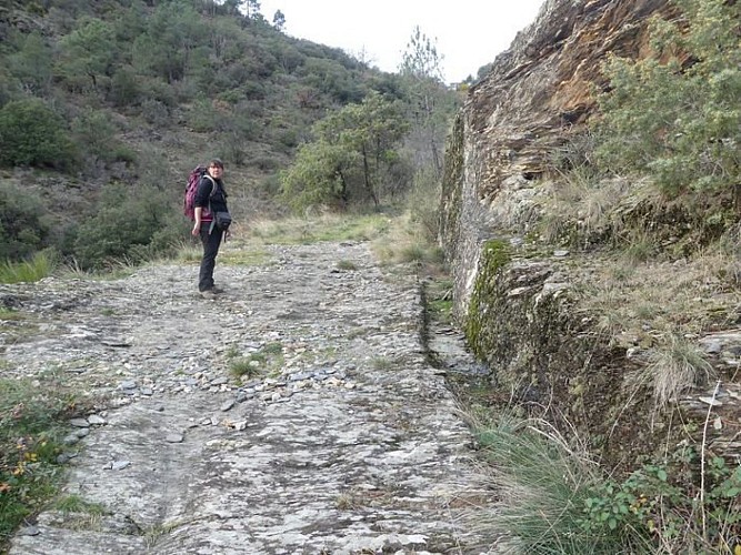 La route royale de St Roman de Tousque