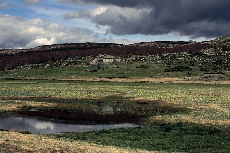 Plaine du Tarn, vue sur Mas Camargues