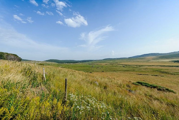 Paysage du Haut Tarn