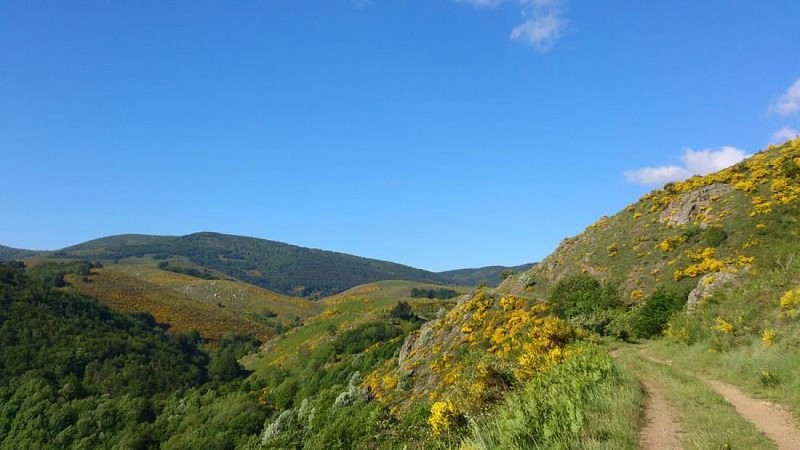 Vallée du Tapoul