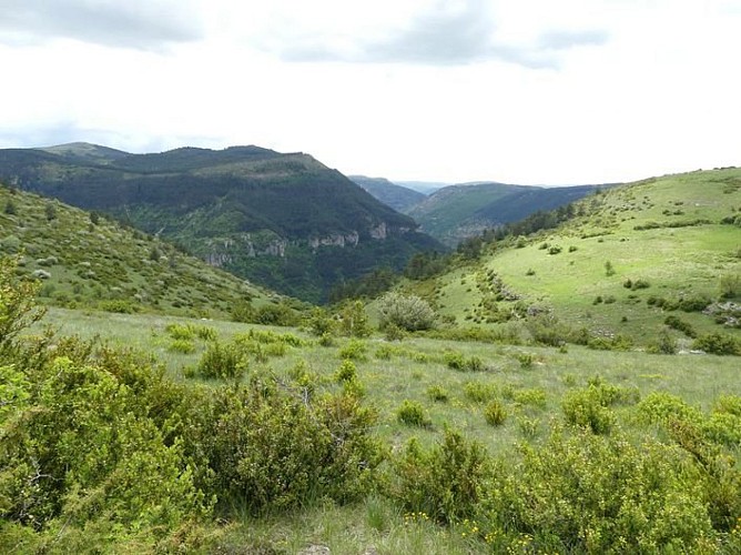 Vue sur les gorges du Tarn