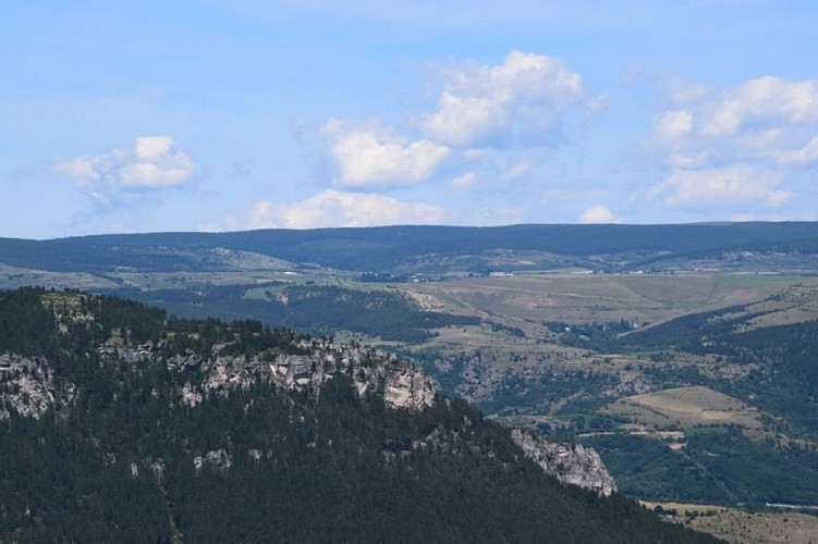 Les puechs des Bondons vue depuis le causse de Sauveterre