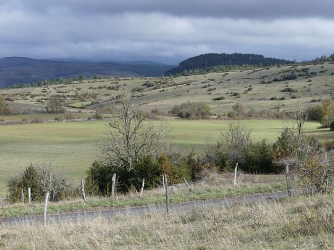 Paysage autour de Chamblon
