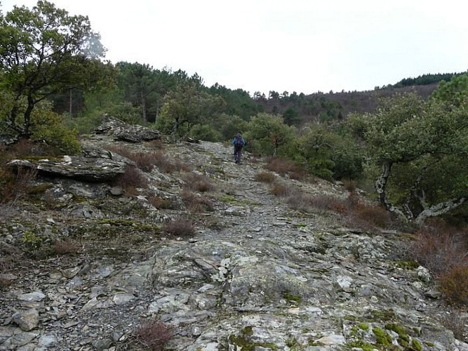 Paysage autour de St-Roman de Tousque