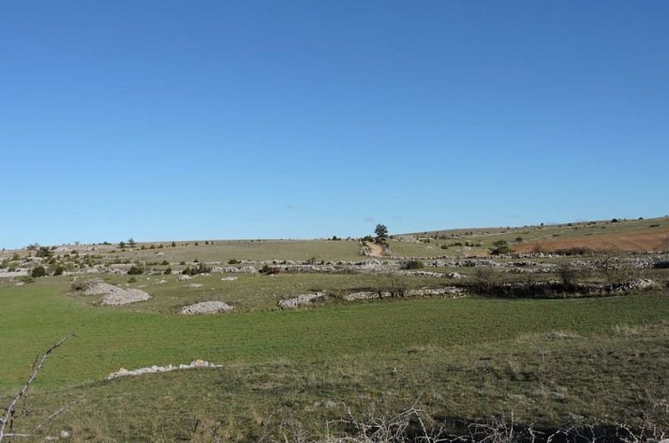 Grandes étendues du causse